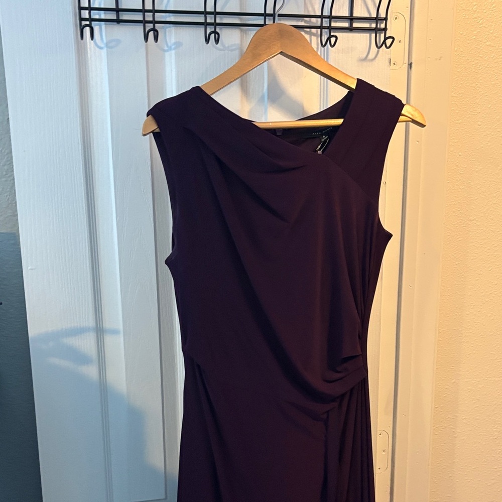 NWT Alex Marie Dress in Deep Purple